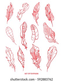 Feathers. Design Zentangle. Hand drawn feathers with abstract patterns on isolation background. Design for spiritual relaxation for adults. Zen art. Print for polygraphy, t-shirts and textiles