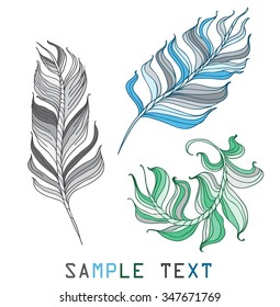 feathers different color on a white background hand drawn vector illustration
