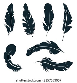 Feathers of different shapes in black on a white background, detail for decoration