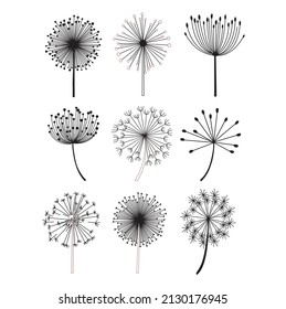Feathers different vector drawing pattern designed for t-shirt..eps