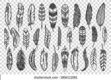 Feathers doodle set. Collection of pencil hand drawn sketche templates patterns of different bird wing part used for fabric and scrapbooking on trasparent background. Ornametal linear illustration.