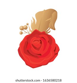 feathers elegants with rose flowers decoration vector illustration design