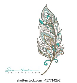 Feathers. Element from Sea boho collection. Vector illustration.