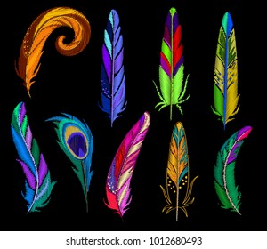 Feathers embroidery set. Vector illustration.