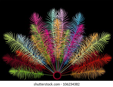 Feathers fan vector on black background
