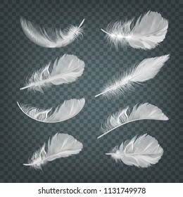 Feathers feather vector white falling easy realistic illustration set isolated on transparent background