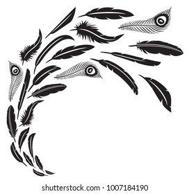 feathers in flight vector illustration