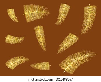 Feathers Floating. Beautiful Hand Drawn Beard Feathers. Yellow Feathers Isolated. Feathers for Wallpaper, Illustration, Carnival, Masquerade, Invitation, Textile. Decoration Element for Your Design.