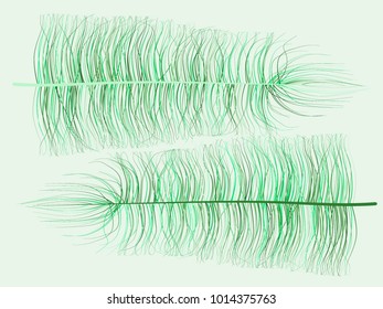 Feathers Floating. Beautiful Hand Drawn Beard Feathers. Colorful Feathers Isolated. Feathers for Wallpaper, Illustration, Carnival, Masquerade, Invitation, Textile. Decoration Element for Your Design.