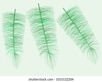 Feathers Floating. Beautiful Hand Drawn Beard Feathers. Colorful Feathers Isolated. Feathers for Wallpaper, Illustration, Carnival, Masquerade, Invitation, Textile. Decoration Element for Your Design.