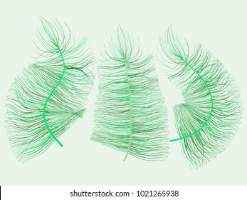 Feathers Floating. Beautiful Hand Drawn Beard Feathers. Colorful Feathers Isolated. Feathers for Wallpaper, Illustration, Carnival, Masquerade, Invitation, Textile. Decoration Element for Your Design.