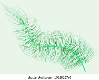 Feathers Floating. Beautiful Hand Drawn Beard Feathers. Colorful Feathers Isolated. Feathers for Wallpaper, Illustration, Carnival, Masquerade, Invitation, Textile. Decoration Element for Your Design.