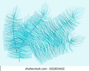 Feathers Floating. Beautiful Hand Drawn Beard Feathers. Colorful Feathers Isolated. Feathers for Wallpaper, Illustration, Carnival, Masquerade, Invitation, Textile. Decoration Element for Your Design.