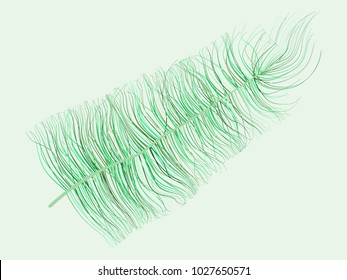 Feathers Floating. Beautiful Hand Drawn Fluff. Colorful Feathers Isolated for Wallpaper, Illustration, Carnival, Masquerade, Invitation, Textile. Decoration Element for Your Design.