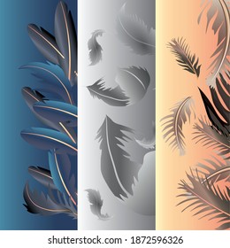 feathers fluffy softness decoration banners design vector illustration