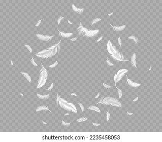 Feathers frame, round border of white fluffy flying down. Decorative design element of birds or angel plumage isolated on transparent background. Graphic element, Realistic 3d vector illustration