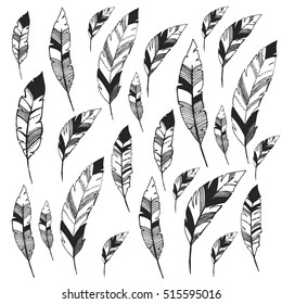 feathers graphic drawing