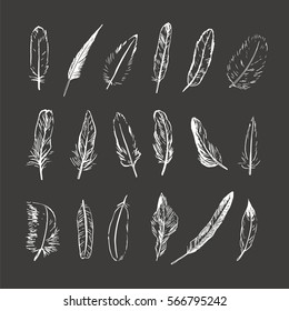 feathers graphic set