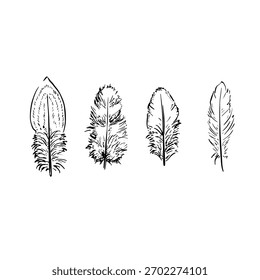feathers hand drawn in black.