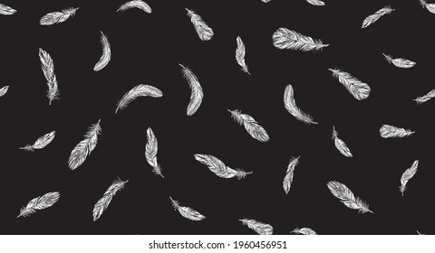 Feathers. Hand drawn sketch style.	
