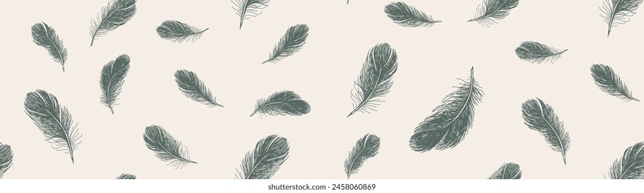 Feathers, Hand drawn sketch style.	
