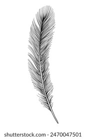 Feathers icon black silhouette hand drawn sketch