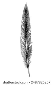 Feathers icon black silhouette hand drawn sketch