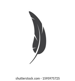 Feathers icon Vector Illustration design Logo template