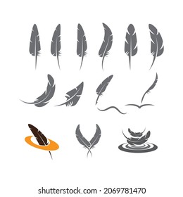 Feathers icon Vector Illustration design Logo template