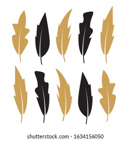 Feathers icons vector. Black vintage feather set