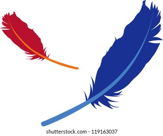 feathers illustration