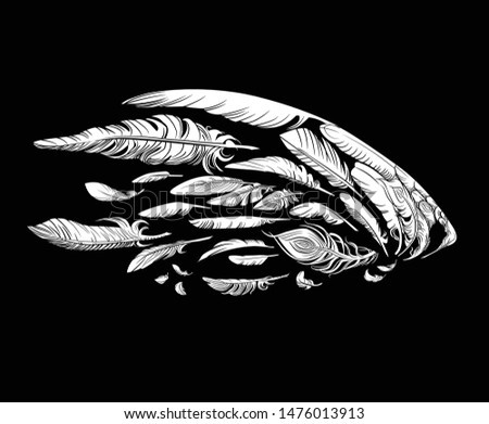 Feathers illustration. Different types, positions and sizes. Feathers are grouped as a perforated object, separately with white filling. So you can change color easily.