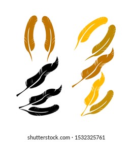 feathers illustration icon vector design template