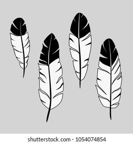 feathers, ink hand drawn stock vector