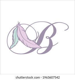 feathers and letter b , vector