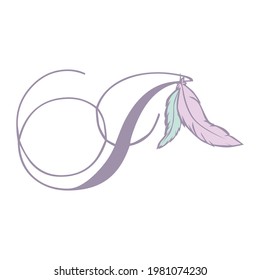 feathers and letter i, vector