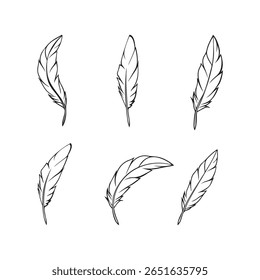 Feathers line art beautiful black and white