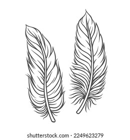 Feathers line icons set vector illustration. Hand drawn outline soft lightweight feathers and fluff for pillow, fluffy easy plumage of bird or angel wings, natural fuzz and quill of duck and dove