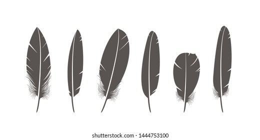 Feathers logo. Isolated feathers on white background. EPS 10. Vector illustration