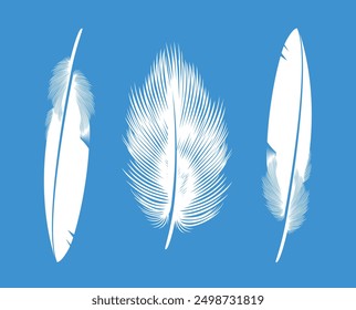 Feathers logo. Isolated feathers on white background