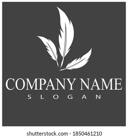 Feathers Logo Template vector symbol nature