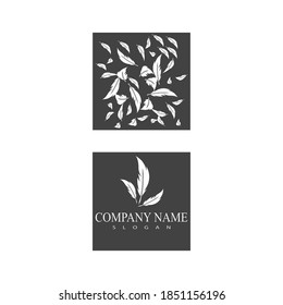 Feathers Logo Template vector symbol nature