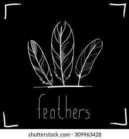 Feathers on black background. Vector illustration