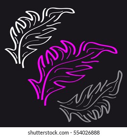 Feathers on black background. Vector illustration.