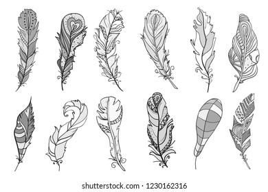 Feathers on isolated white. Design Zentangle. Hand drawn feathers with abstract patterns on isolation background. Line art. Black and white illustration