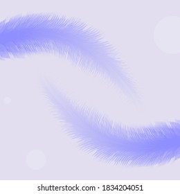 Feathers on a light background with bokeh