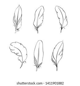feathers on white background. Boho style. Isolated feathers on white background. Illustrations for cards, invitations, posters, fabrics, clothes.
