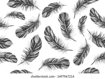 Feathers on white background. Hand drawn sketch style. 