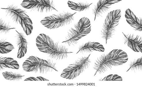 Feathers on white background. Hand drawn sketch style. 