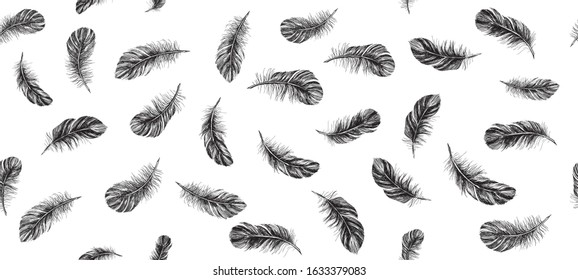 Feathers on white background. Hand drawn sketch style.	